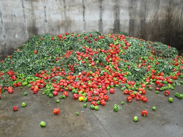 Wie lassen sich ökologische Baustandards in der Praxis umsetzen, ohne die Baukosten zu erhöhen?