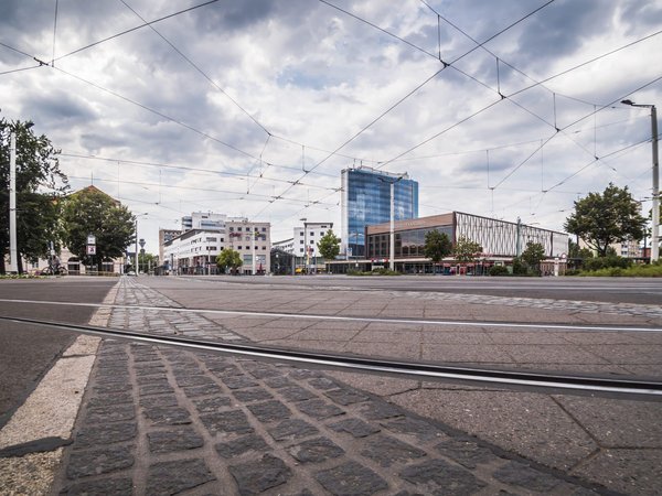 Wie kann ich meinem Hund beibringen, ruhig zu bleiben, wenn es an der Tür klingelt?