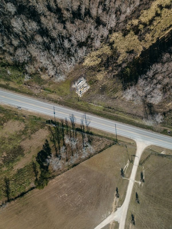 Wie verwendet man vertikale Räume für Gemüseanbau in einem kleinen Garten?